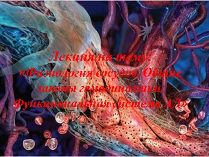 Лекция на тему: «Физиология сосудов. Общие законы гемодинамики. Функциональная система АД»