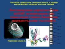 Восстановление дефектного гена delf508 муковисцидоза при стимуляции генного биосинтеза нанокристаллами галлуазита