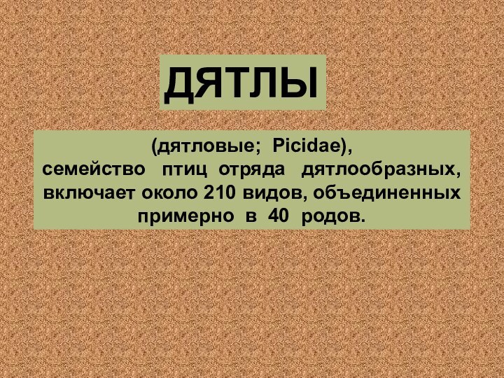 (дятловые; Picidae), семейство  птиц отряда  дятлообразных, включает около 210 видов,