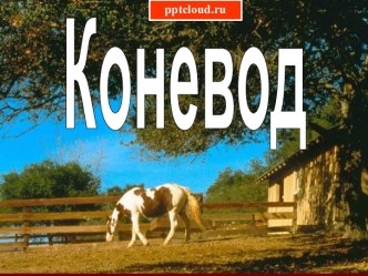 Коневод