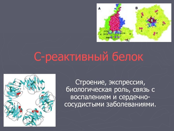 С-реактивный белокСтроение, экспрессия, биологическая роль, связь с воспалением и сердечно-сосудистыми заболеваниями.