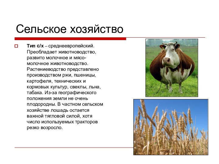 Сельское хозяйствоТип с/х – среднеевропейский. Преобладает животноводство, развито молочное и мясо-молочное животноводство.