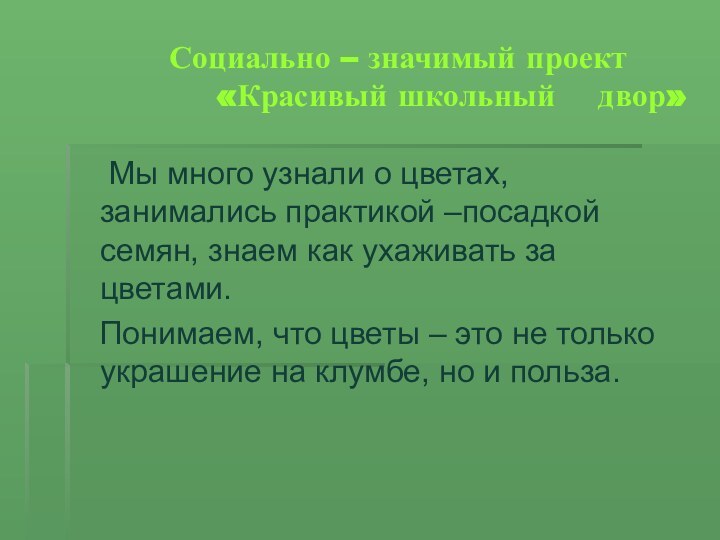 Социально – значимый проект