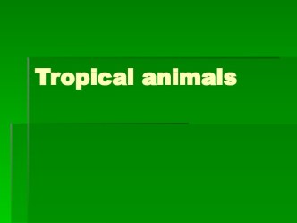 Tropical animals