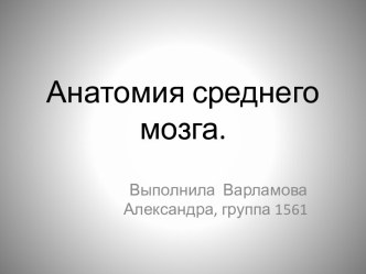 Анатомия среднего мозга.