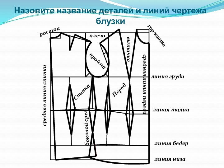 Назовите название деталей и линий чертежа блузки СпинкаПередростокгорловинаплечопроймалиния грудилиния талиилиния бедерлиния низабоковой