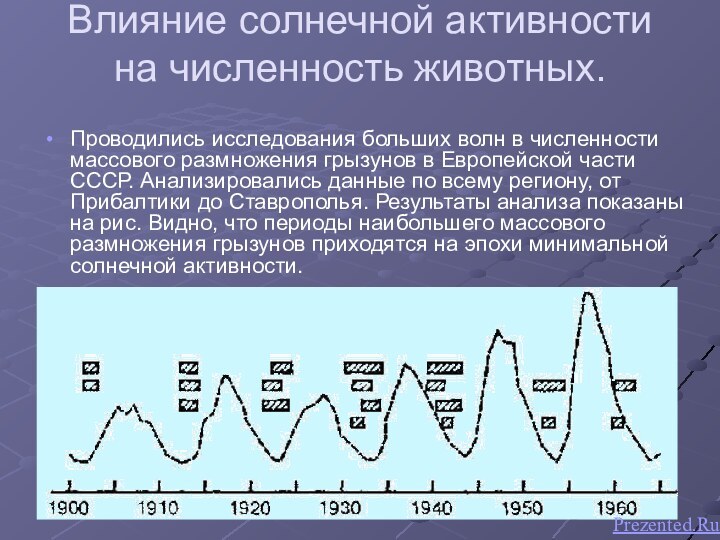 Влияние солнечной активности на численность животных. Проводились исследования больших волн в численности