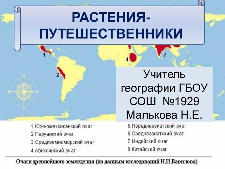 РАСТЕНИЯ-ПУТЕШЕСТВЕННИКИУчитель географии ГБОУ СОШ №1929 Малькова Н.Е.