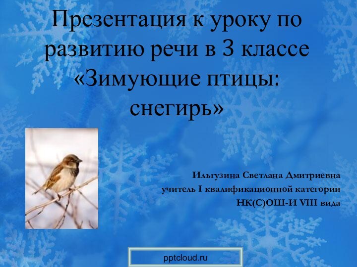 Презентация к уроку по развитию речи в 3 классе «Зимующие птицы: снегирь»Ильгузина