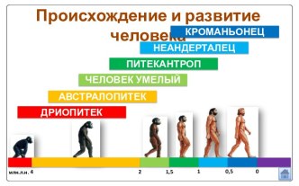 Происхождение человека. Этапы  его становления