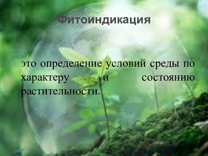 это определение условий среды по характеру и состоянию растительности.Фитоиндикация