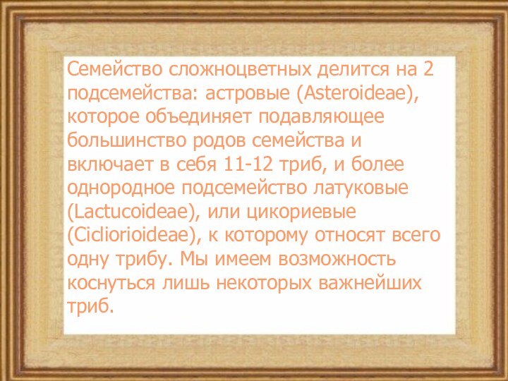 Семейство сложноцветных делится на 2 подсемейства: астровые (Asteroideae), которое объединяет подавляющее большинство