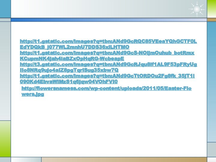 http://t1.gstatic.com/images?q=tbn:ANd9GcRQC85VEeaYQhGCTF0LEdYDQkB_j077WL2mnhU7DDS36xlLHTMOhttp://t1.gstatic.com/images?q=tbn:ANd9GcS-NOijmOuhub_botRmxKCupmNK4jah4iaBZxOpHqRG-WcbeapEhttp://t3.gstatic.com/images?q=tbn:ANd9GcRJqu8if1AL9F53pFRyUgIIo8NRq9ujo4aIZ8pgTqrISug35xbw7Qhttp://t1.gstatic.com/images?q=tbn:ANd9GcTtORDOu2Fg8fk_35jT1i090Kd4EbvaWlMzS1q6jqw04VOhFVI0http://flowersnamess.com/wp-content/uploads/2011/05/Easter-Flowers.jpg