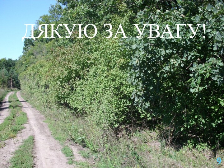 ДЯКУЮ ЗА УВАГУ! 9