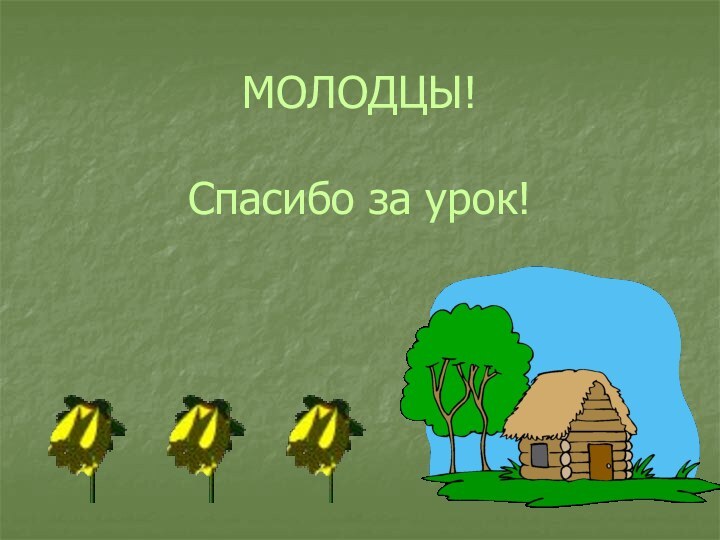 МОЛОДЦЫ!  Спасибо за урок!