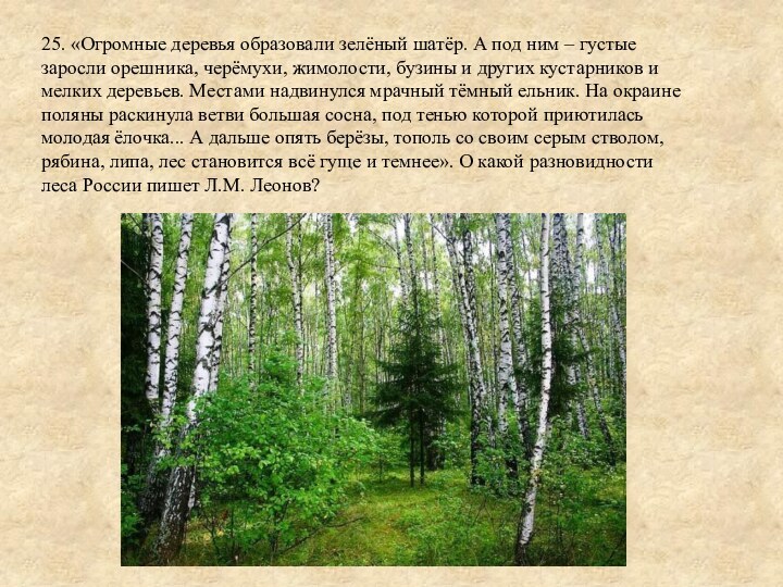 25. «Огромные деревья образовали зелёный шатёр. А под ним – густые заросли