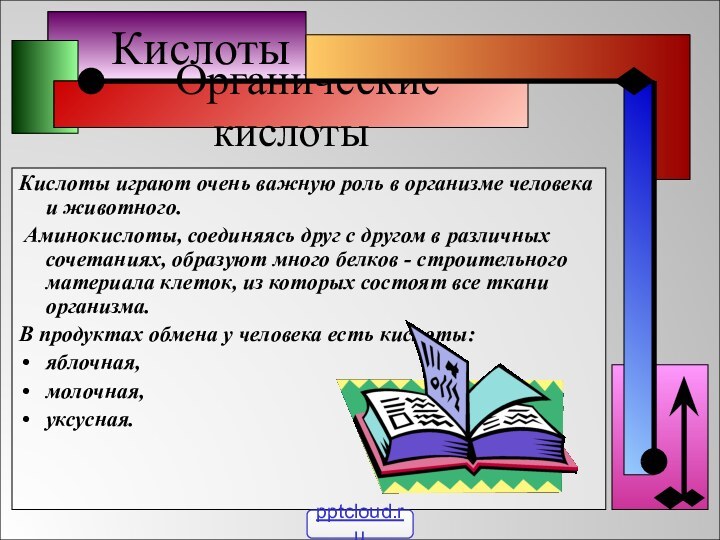 Кислоты  Органические кислотыКислоты играют очень важную роль в организме