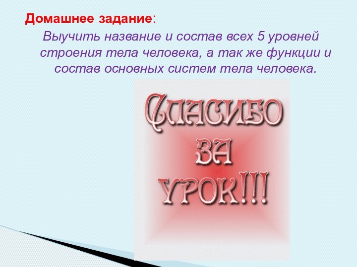 Домашнее задание:Выучить название и состав всех 5 уровней строения тела человека, а