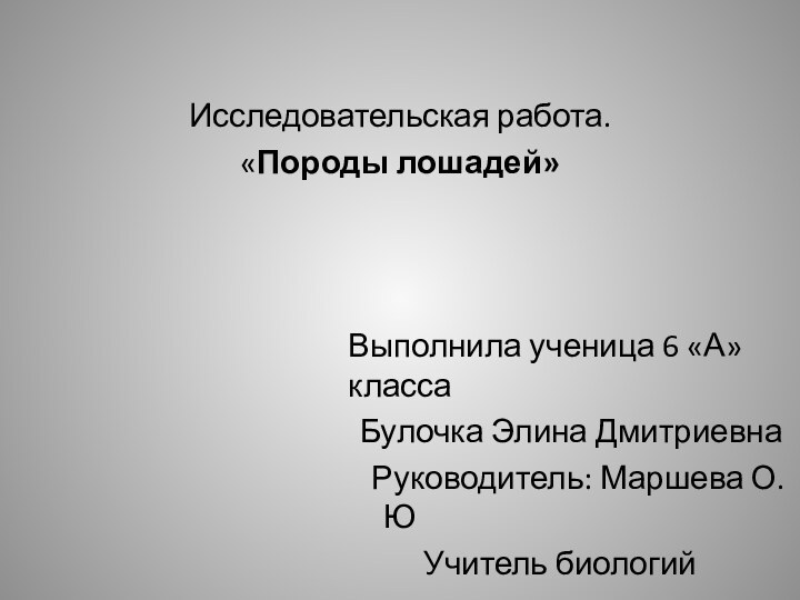 Исследовательская работа.«Породы лошадей»