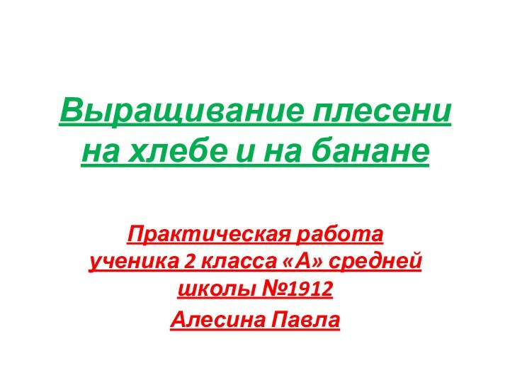 Выращивание плесени на хлебе и на банане Практическая работа ученика 2 класса