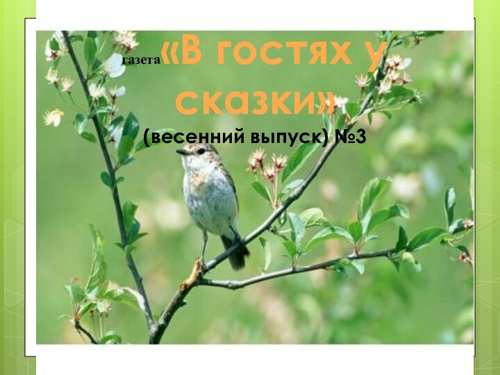 газета (весенний выпуск) №3газета«В гостях у сказки»(весенний выпуск) №3