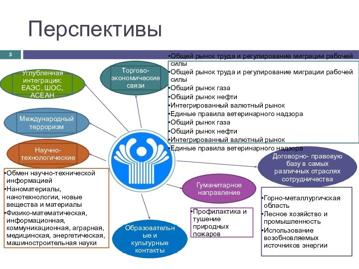 ПерспективыОбщей рынок труда и регулирование миграции рабочей силыОбщей рынок труда и регулирование