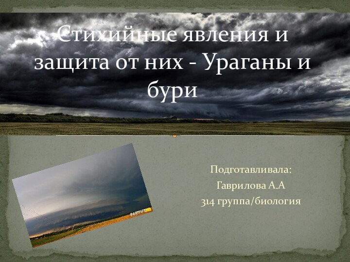 Подготавливала: Гаврилова А.А314 группа/биологияСтихийные явления и защита от них - Ураганы и бури