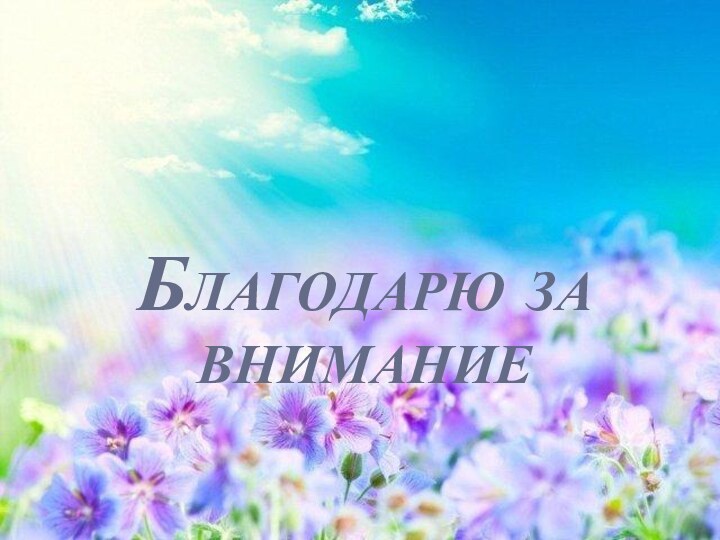 Благодарю за  внимание