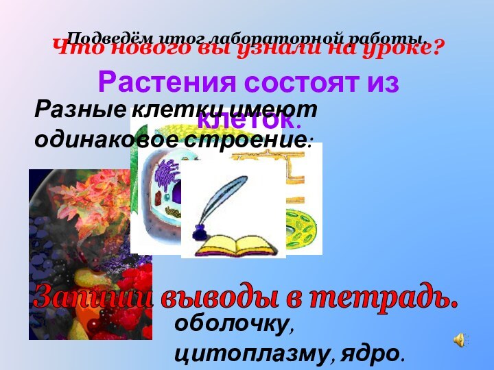 Подведём итог лабораторной работы.Что нового вы узнали на уроке?Растения состоят из клеток.Разные