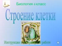 Строение клетки