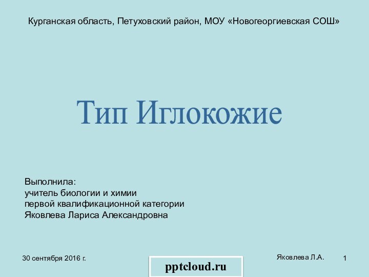 Яковлева Л.А.Курганская область, Петуховский район, МОУ «Новогеоргиевская СОШ»Тип ИглокожиеВыполнила:учитель биологии и химиипервой квалификационной категорииЯковлева Лариса Александровна