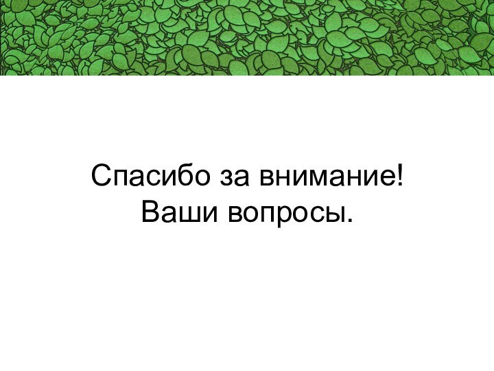 Спасибо за внимание! Ваши вопросы.