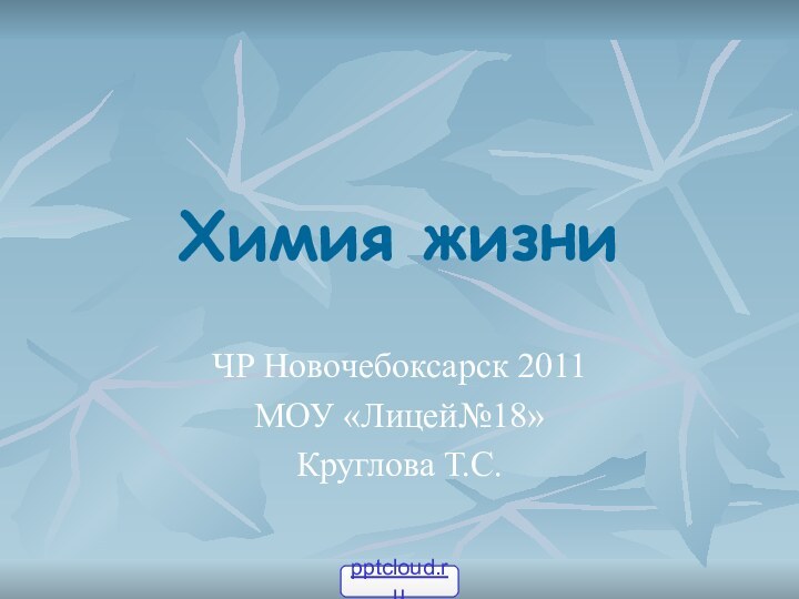 Химия жизниЧР Новочебоксарск 2011МОУ «Лицей№18»Круглова Т.С.