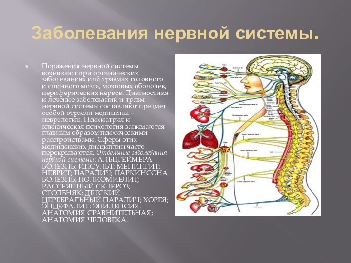 Заболевания нервной системы.Поражения нервной системы возникают при органических заболеваниях или травмах головного