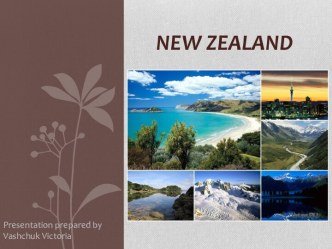 New zealand