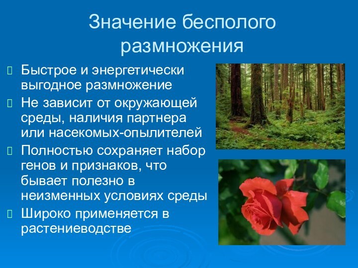 Значение бесполого размноженияБыстрое и энергетически выгодное размножениеНе зависит от окружающей среды, наличия