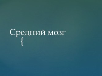 Средний мозг