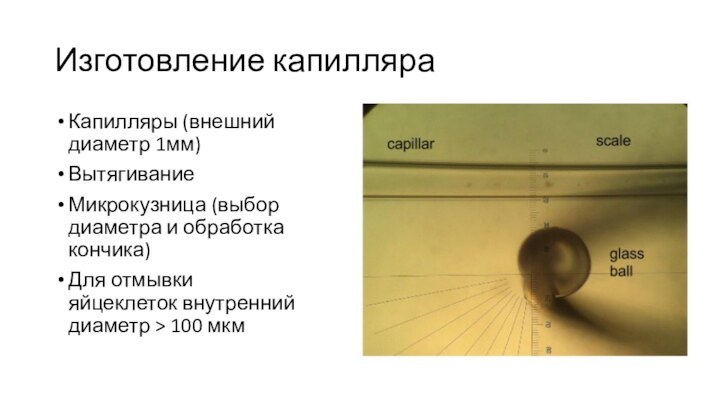 Изготовление капилляраКапилляры (внешний диаметр 1мм)ВытягиваниеМикрокузница (выбор диаметра и обработка кончика)Для отмывки яйцеклеток