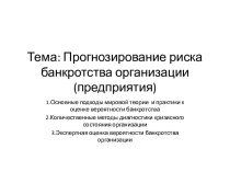 Тема: Прогнозирование риска банкротства организации (предприятия)