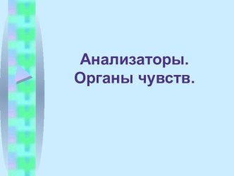 Анализаторы. Органы чувств