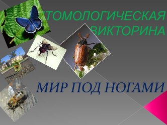 Мир под ногами: викторина