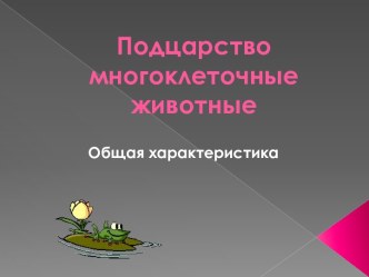 Подцарство многоклеточные животные. Общая характеристика