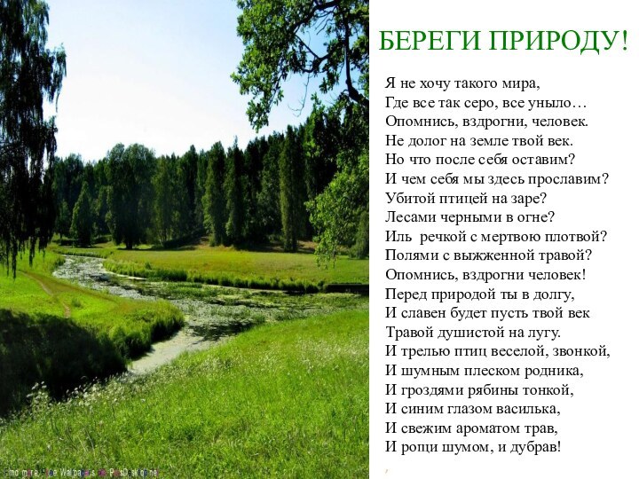 БЕРЕГИ ПРИРОДУ!Я не хочу такого мира,Где все так серо, все уныло…Опомнись, вздрогни,