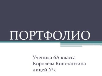 ПОРТФОЛИО