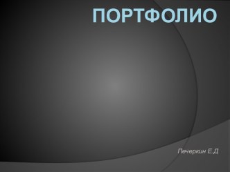 Портфолио