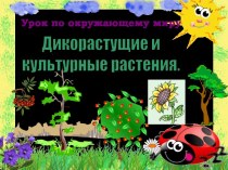 Дикорастущие и культурные растения