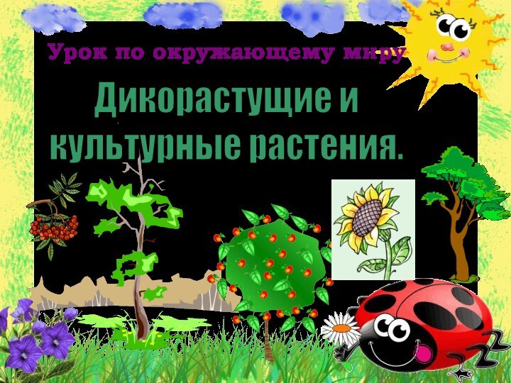 Дикорастущие и культурные растения.Урок по окружающему миру