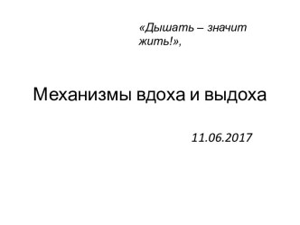 Механизмы вдоха и выдоха