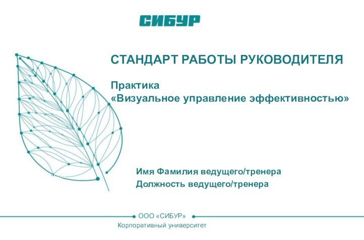 Имя ФамилияСтандарт Работы Руководителя	  Практика «Визуальное управление эффективностью»ООО «СИБУР»Корпоративный университетИмя Фамилия ведущего/тренераДолжность ведущего/тренера