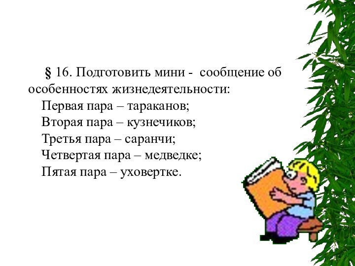 § 16. Подготовить мини - сообщение об особенностях жизнедеятельности: Первая пара